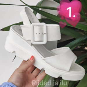 Kingad