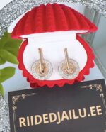 Kõrvarõngad 74 2.50cm