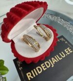 Kõrvarõngad 84-2.5cm