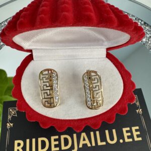 Kõrvarõngad 85-1.80cm