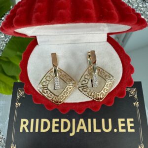 Kõrvarõngad 94-2.80cm