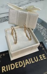 Kõrvarõngad 97-2.5cm