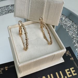 Kõrvarõngad 97-2.5cm