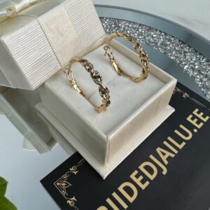 Kõrvarõngad 99-2.5cm