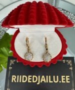 Kõrvarõngad 105 - 2.5cm