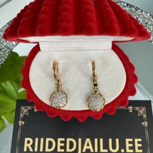 Kõrvarõngad 105 - 2.5cm