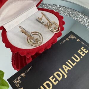 Kõrvarõngad 106-2.5cm