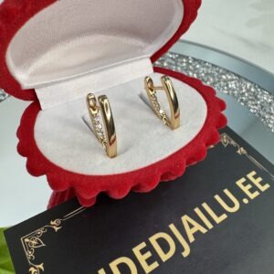 Kõrvarõngad 108-2cm