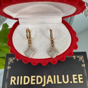 Kõrvarõngad 109-2,50cm