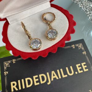 Kõrvarõngad 111-2,50cm